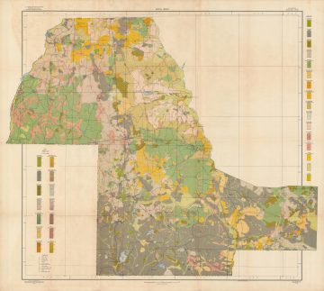 MariannaFL-bureausoils-1909.jpg