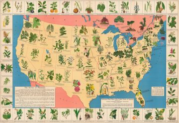 MedicinalPlantMap-druggists-1936.jpg