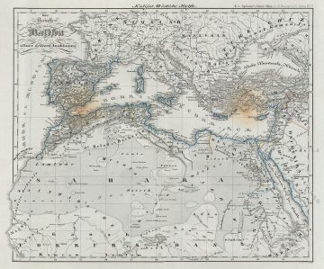 Mediterranean-spruner-1854.jpg