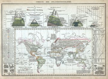 pflanzengeographie-meyer-1852.jpg
