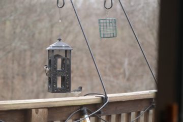 IMG_0147.JPG