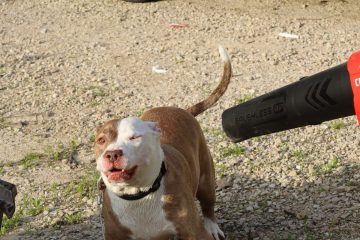 IMG_0310.jpeg