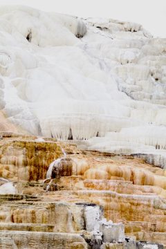 IMG_0669.jpeg