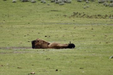 IMG_0685.jpeg