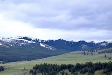 IMG_0711.jpeg