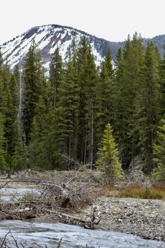 IMG_0724.jpeg