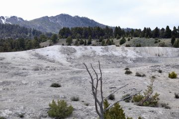 IMG_0728.jpeg