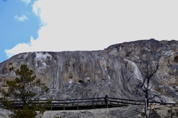 IMG_0729.jpeg