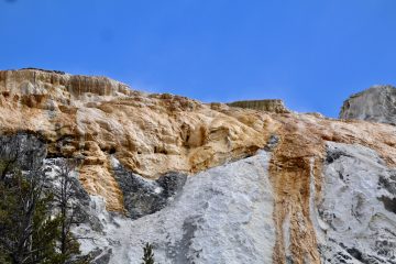 IMG_0740.jpeg