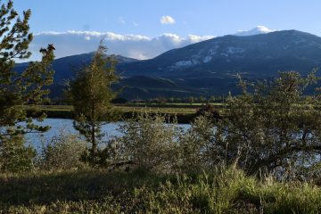 IMG_0761.jpeg