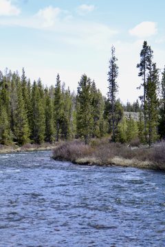IMG_0797.jpeg