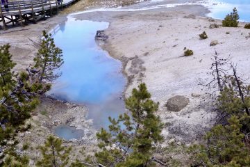 IMG_0831.jpeg