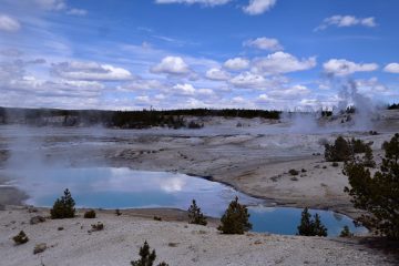 IMG_0833.jpeg