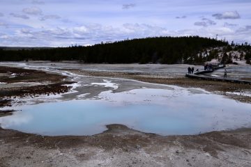 IMG_0834.jpeg