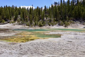 IMG_0843.jpeg