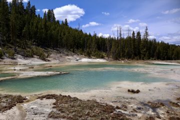 IMG_0847.jpeg
