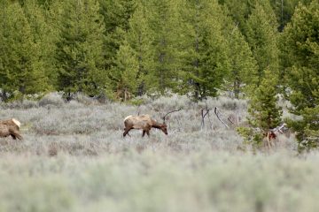 IMG_0863.jpeg