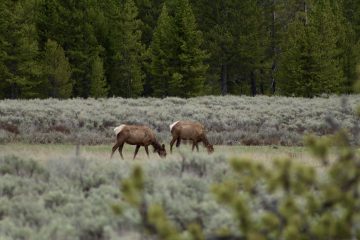 IMG_0866.jpeg