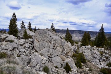 IMG_0870.jpeg
