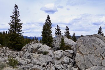 IMG_0874.jpeg