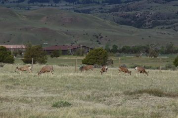 IMG_0894.jpeg