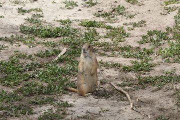 IMG_0938.jpeg