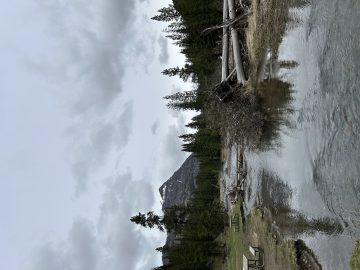 IMG_1274.jpeg