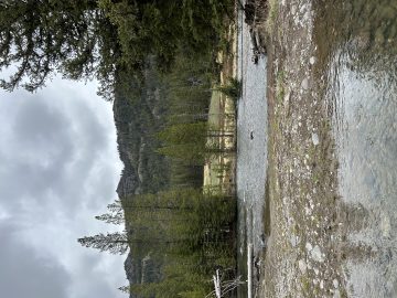 IMG_1276.jpeg