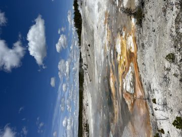IMG_1431.jpeg